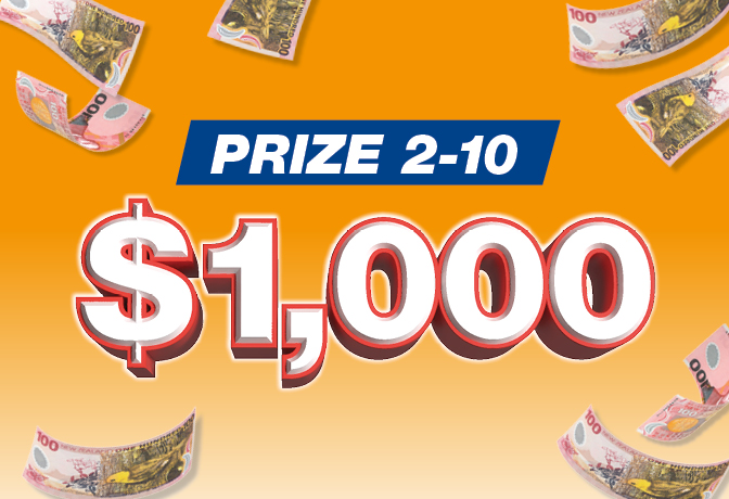 Cash for Christmas Lottery 110... Prize 2-10 $1,000 Cash